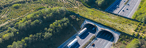 Wildlife crossing overpass above highway