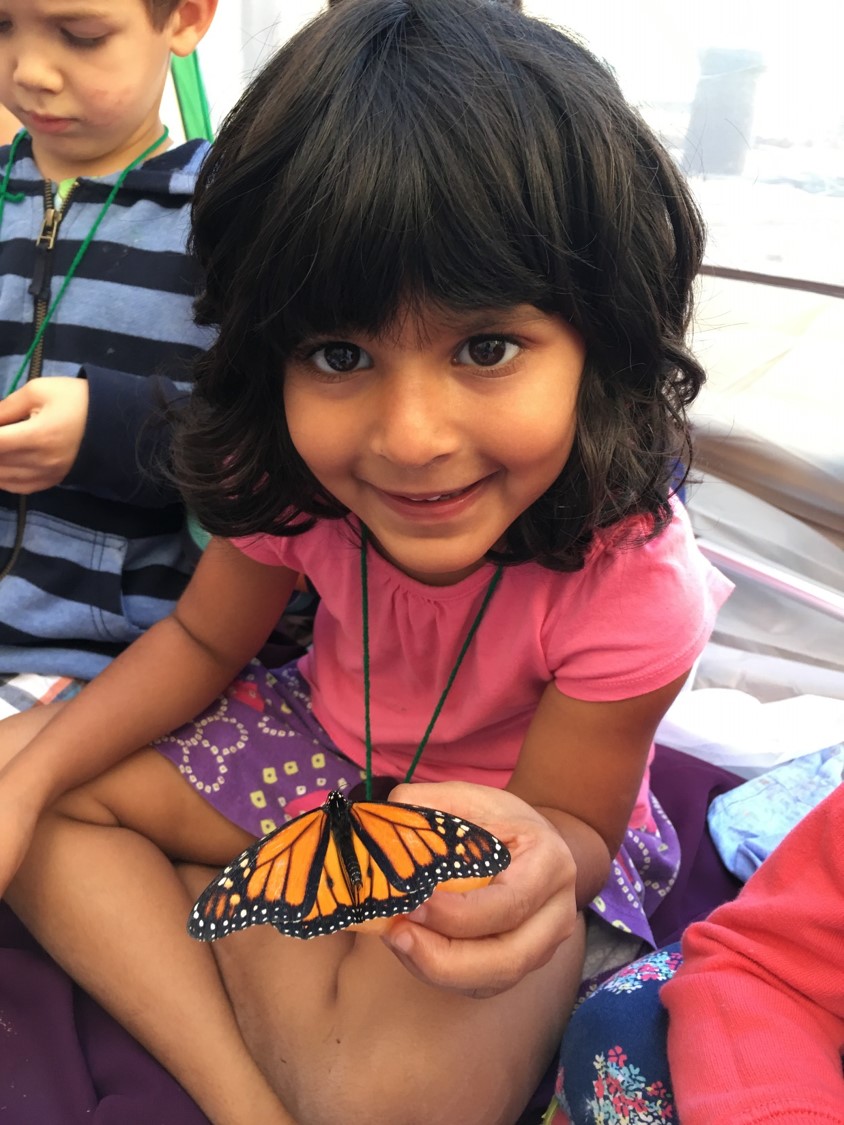 girl holding butterfly